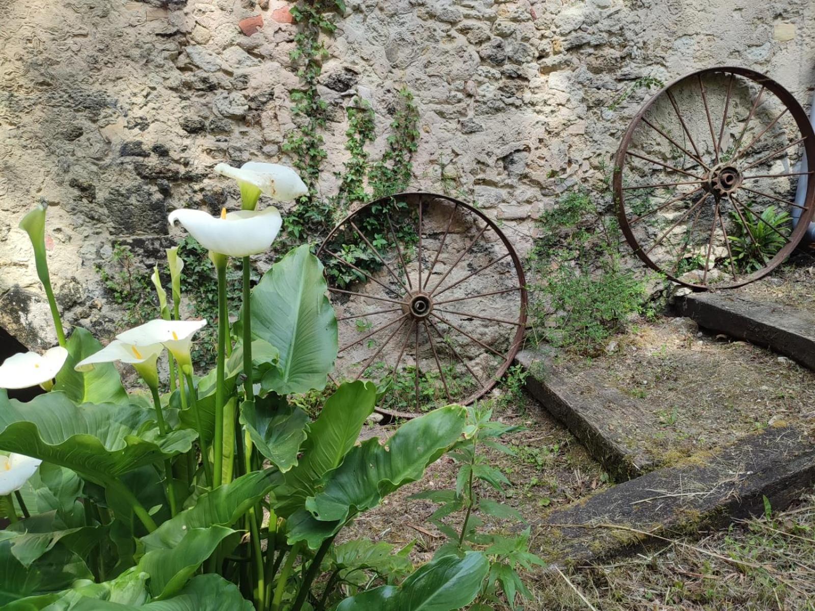 Chambre D'Hotes Le Moulin De Moulis Eksteriør bilde